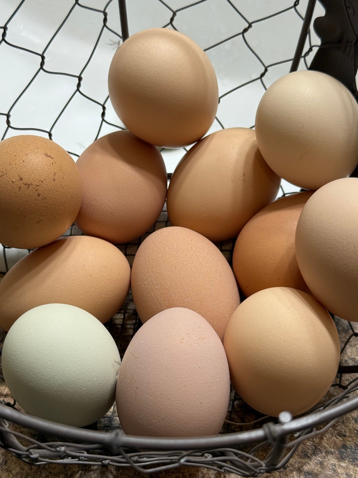 Farm to Table Eggs
