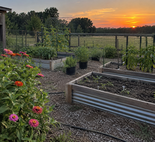 A Long, Hot Summer at Willow & Branch | Life on the Homestead